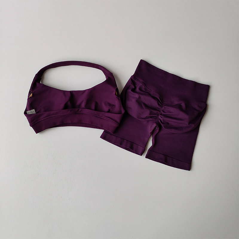 섹시한 홀터넥 넥 아름다운 뒤 높은 허리 복숭아 스포츠 - Pilates Yoga Clothes 리뷰 및 가격